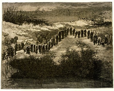  by Fortune Louis Meaulle