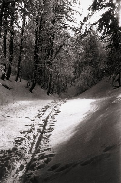  by Fosco Maraini
