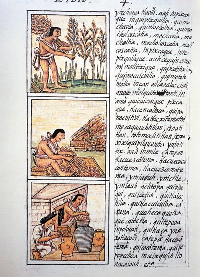 Köylü yaşamı, buğday hasadı, hasırda çırçırlama ve kavanozlarda stoklama, Nahuati