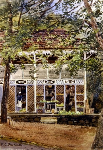 Britanya Batı Hint Adaları (kağıt üzerine sulu boya) by Frances C. Fairman
