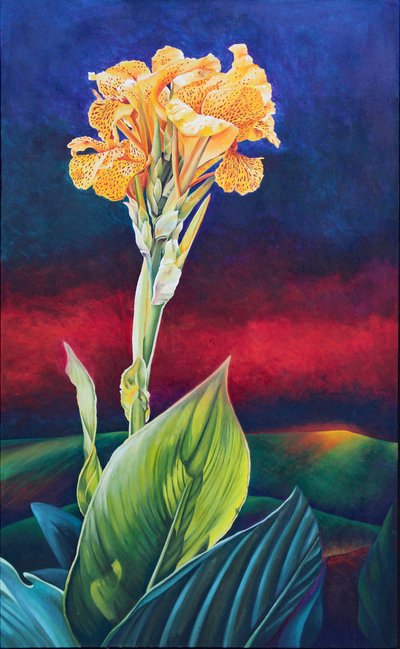 Sarı Canna Zambak by Frances Ferdinands