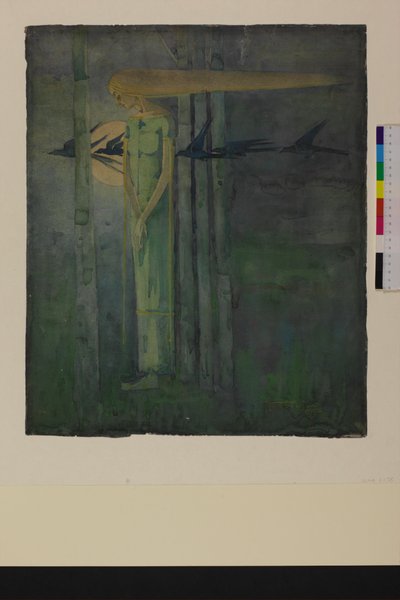 "İll Omen" veya "Doğu Rüzgarında Kuzgunların Ay'dan Geçtiği Kız" 1893 by Frances Macdonald