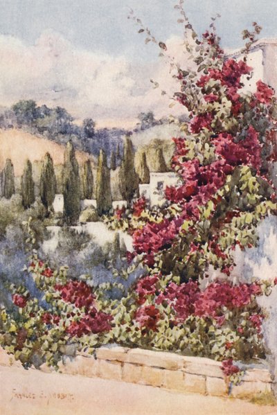  by Frances Nesbitt