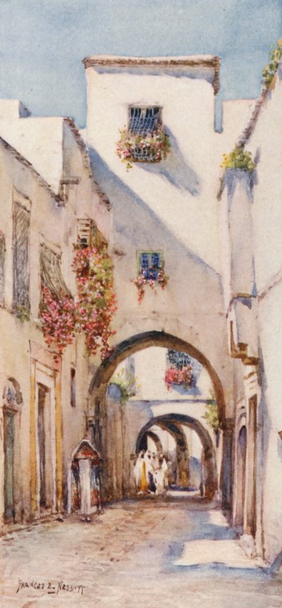  by Frances Nesbitt