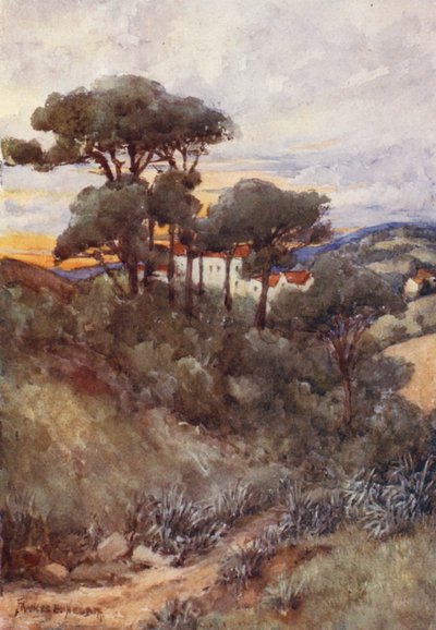  by Frances Nesbitt