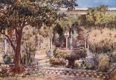  by Frances Nesbitt