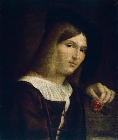 Güllü Genç Bir Adamın Portresi by Francesco Torbido