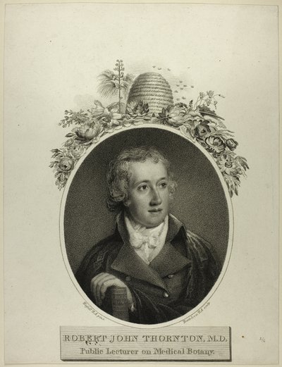 RJ Thornton by Francesco Bartolozzi