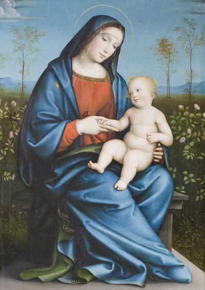 Gül bahçesinde Madonna ve Çocuk, Raibolini Francesco, Francesco Francia olarak anılır (panel üzerine yağlıboya) by Francesco Francia