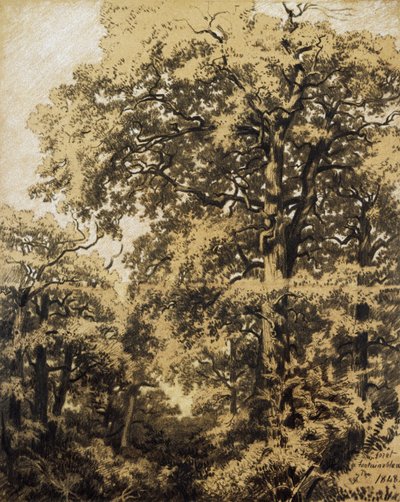 Fontainebleau Ormanı by Francesco Gamba