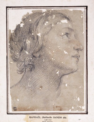 Sağdaki profilde Kadın Başı, by Francesco Giovanni Gessi