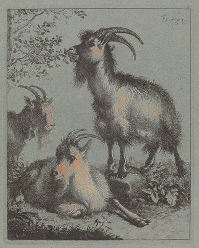 Üç Keçi, 1758. by Francesco Londonio