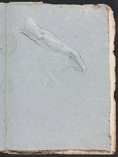 Verona Sketchbook: Sağ kol ve el sayfası 95, 1760. by Francesco Lorenzi