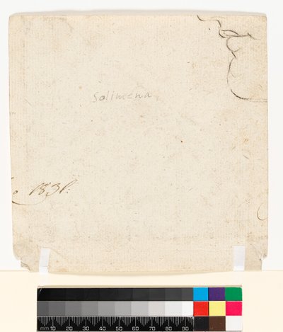 Kağıdın arkasına çizim (ters), 1747