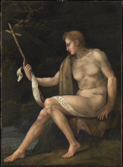 Vahşi Doğada Vaftizci Yahya by Francesco Ubertini Bacchiacca