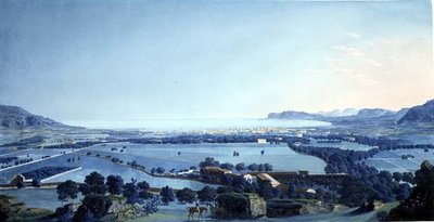 Palermo, Falco