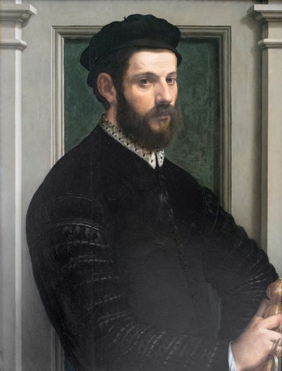 Bir beyefendinin portresi by Francesco de Rossi Salviati Cecchino