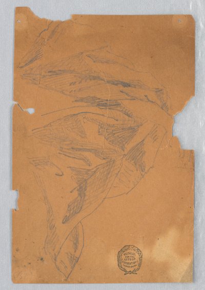Perdelik Çalışması by Francis Augustus Lathrop