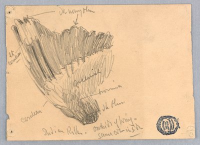 Kanat taslağı by Francis Augustus Lathrop