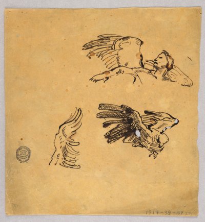 Kanat Çalışmaları by Francis Augustus Lathrop