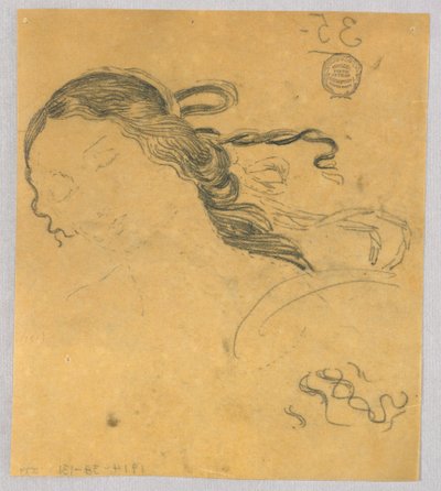 Kadın Saçının İncelenmesi by Francis Augustus Lathrop