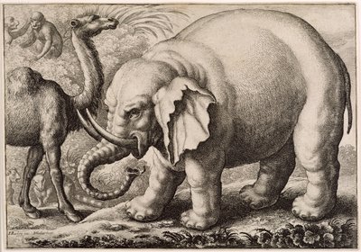 Bir Fil ve Bir Deve, Wenceslaus Hollar (1607-77) 1663 tarafından oyulmuş by Francis Barlow