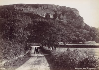 Abergele, Tan-yr-ogo Mağarası, 1870
