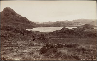  by Francis Bedford
