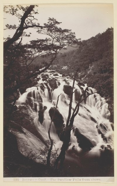 Betws-y Coed, Yukardan Düşen Kırlangıç by Francis Bedford