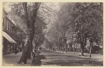 Cheltenham, Gezinti Yolu, 186094. by Francis Bedford