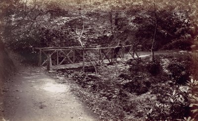 Colwyn Körfezi. Ormanda Rustik Köprü, 1870