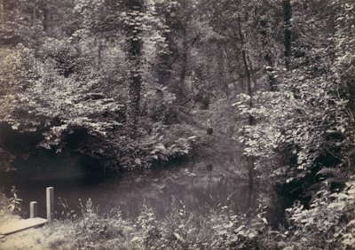 Colwyn Körfezi. Ormandaki Havuz, 1870