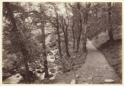Dolgelley, Torrent Yürüyüşünde Görüntüle by Francis Bedford