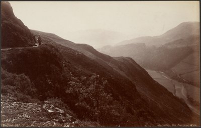 by Francis Bedford