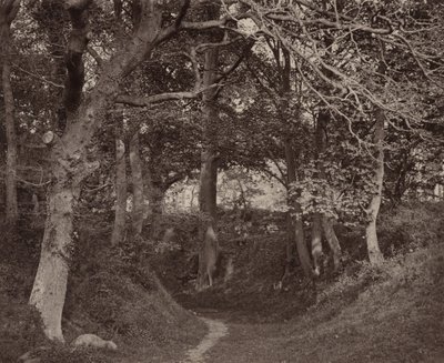  by Francis Bedford
