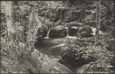  by Francis Bedford