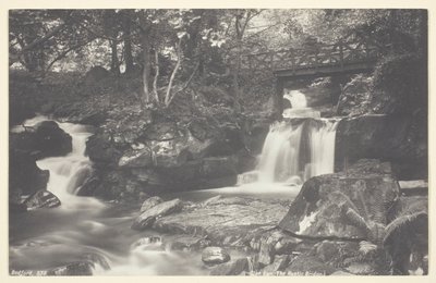 Glen Lyn, Rustik Köprü by Francis Bedford