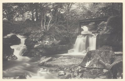 Glen Lyn, Rustik Köprü, 186094. by Francis Bedford
