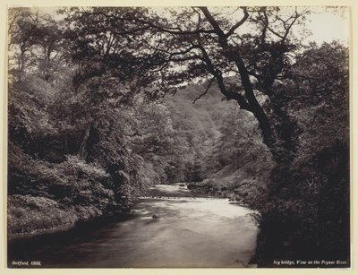  by Francis Bedford