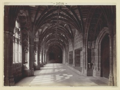 başlıksız by Francis Bedford