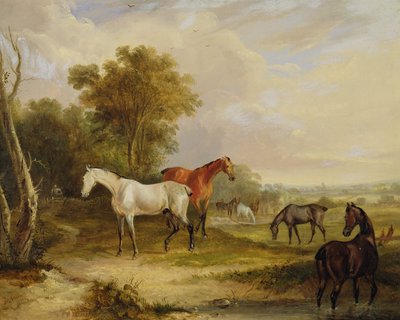 Otlayan Atlar: Bir Çayırda Kısraklarla Otlayan Gri Bir Aygır (tuval üzerine yağlı boya) by Francis Calcraft Turner