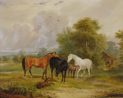 Otlayan Atlar: Tarlada Kısraklar ve Taylar by Francis Calcraft Turner