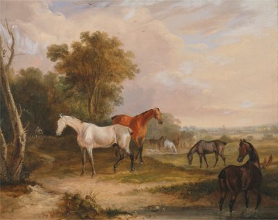  by Francis Calcraft Turner
