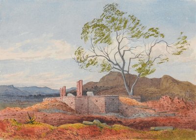 Agoola, Tigre