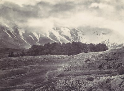 Lübnan Sedirlerinin Uzak Görünümü, yak. 1857. by Francis Frith