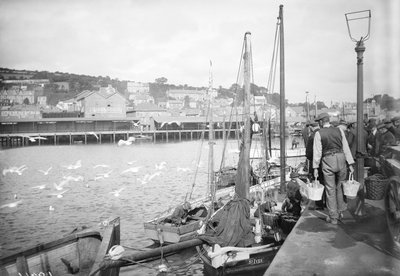 Newlyn limanı ve balık iskelesi, Cornwall by Francis Frith