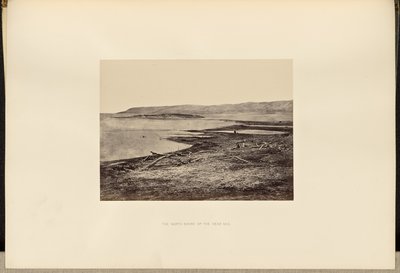 Ölü Deniz