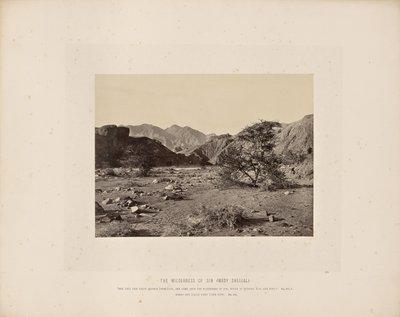 Günahın Vahşi Doğası (Wady Shellal) by Francis Frith