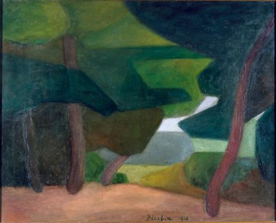  by Francis Picabia