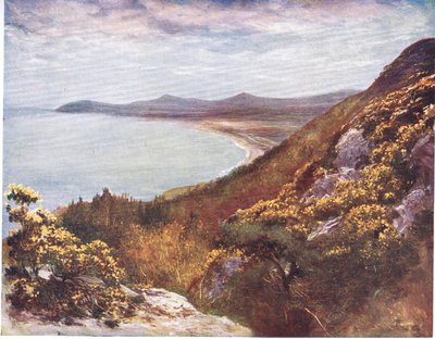 Victoria Hill
